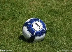 郑钦文澳网,意外逆袭,首度晋级大,开云体育,开云体育官网,开云体育app,开云体育app下载